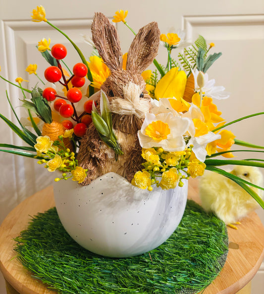 Bunny and Carrots 🥕